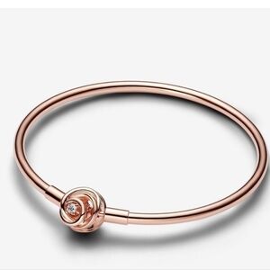 Pandora Moments Encircled Clasp Bangle